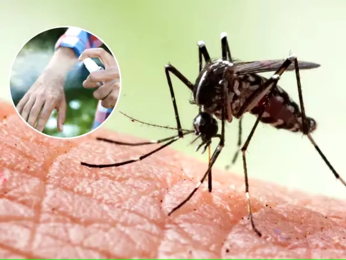 Cómo hacer el mejor repelente casero para mosquitos a base de vainilla