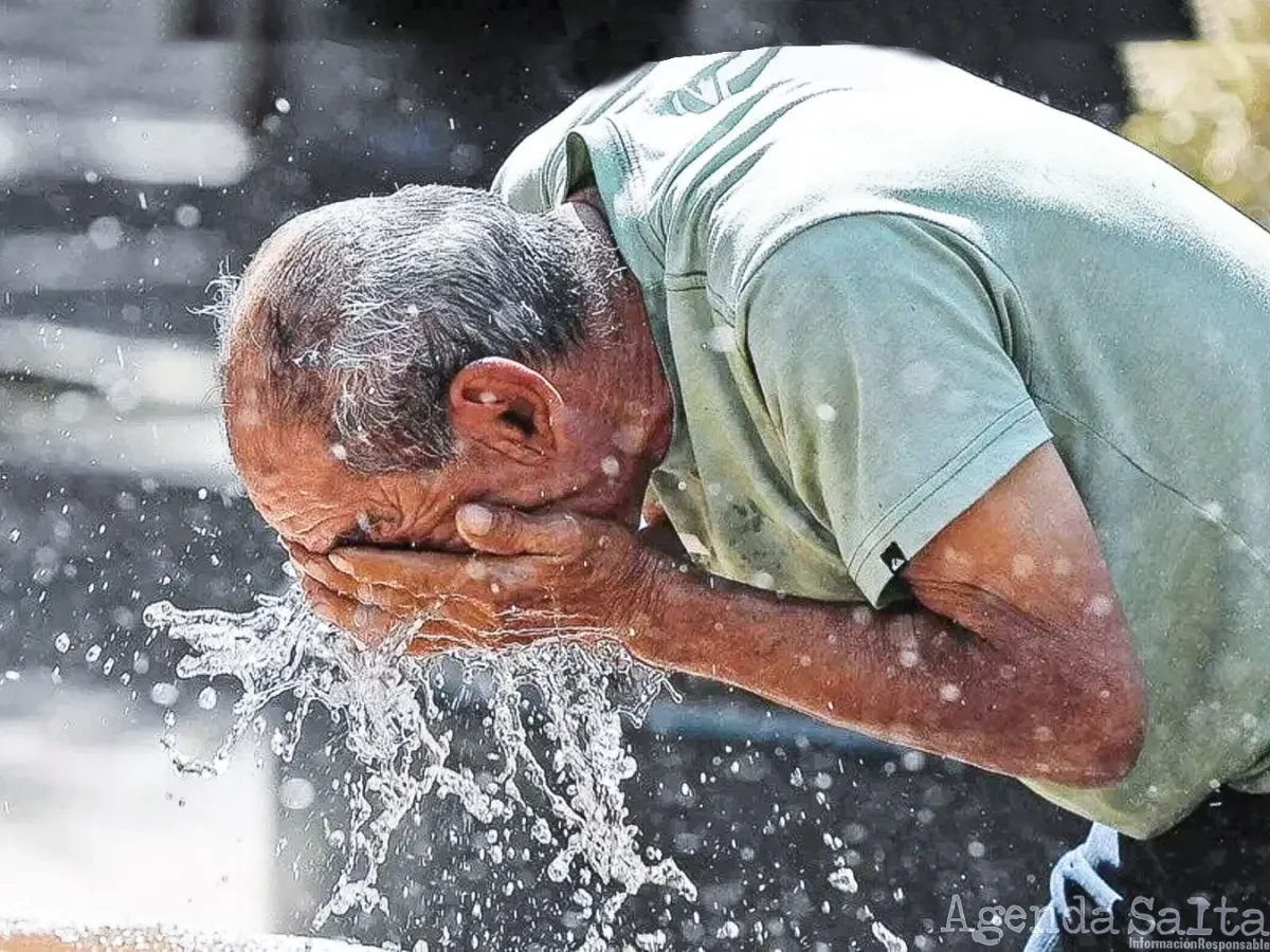 Ola De Calor: Qué Comer Y Qué Ropa Usar Para Afrontar Las Altas ...