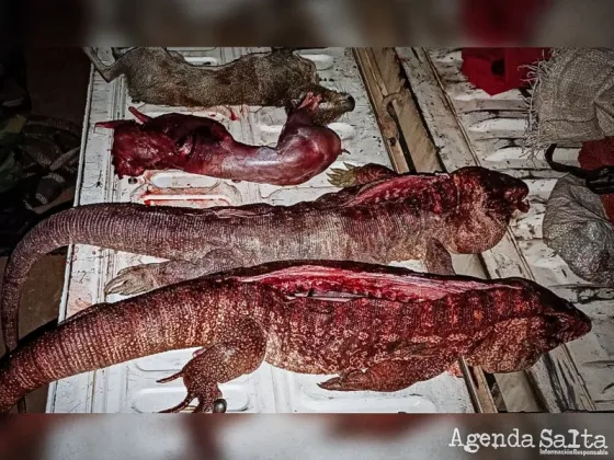 Detienen a cazadores furtivos en Las Lajitas