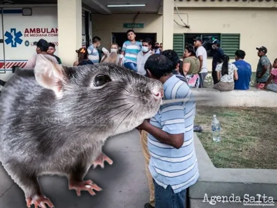 Más de 450 niños salteños intoxicados: Mercadería en mal estado y excremento de ratas por todos lados