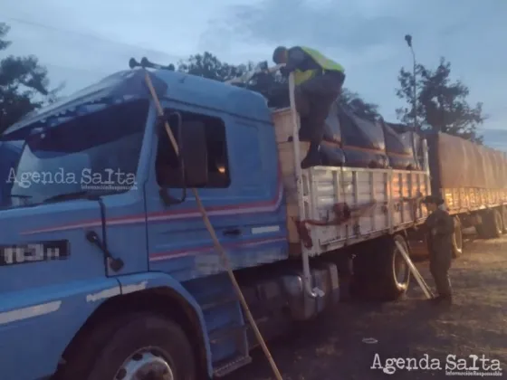 La totalidad de los granos transportados, como también los vehículos, fueron decomisados.