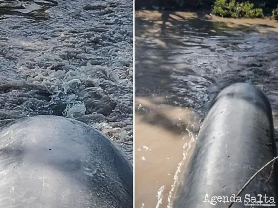 Multan a Aguas del Norte por volcamientos de líquido cloacales en el río Arenales