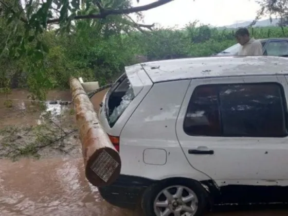 Las fuertes ráfagas y la tormenta ocasionaron destrozos en un vehículo de Zona Sur