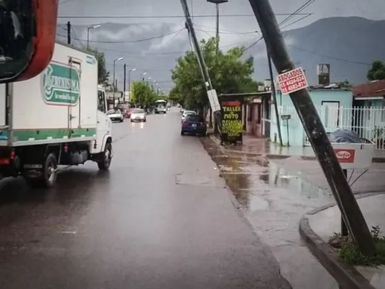 La caída de postes dejó sin luz varias zonas de la ciudad