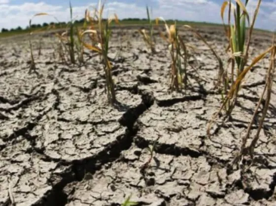 La Argentina atraviesa su peor sequía en 60 años