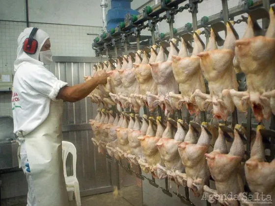 Extreman cuidados: "Creció el consumo de pollo en el país, casi equiparó al de la carne que decreció"