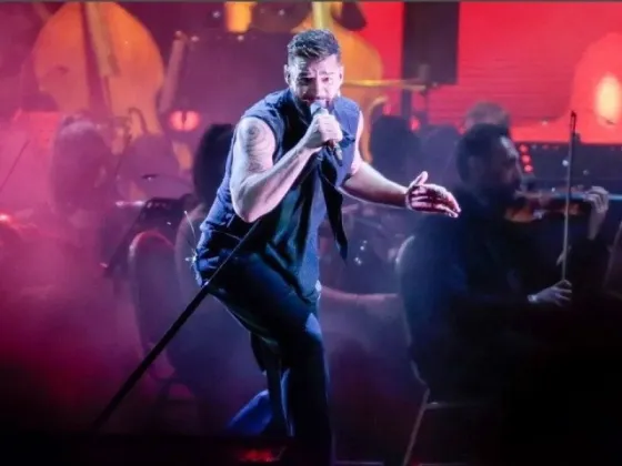 Polémica en el show de Ricky Martin en Vélez: una plaga de "piojillos" atacó al público