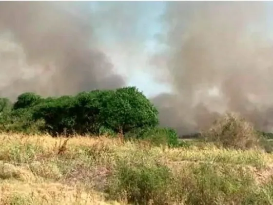 Zárate: combaten un incendio de pastizales cerca de Atucha I