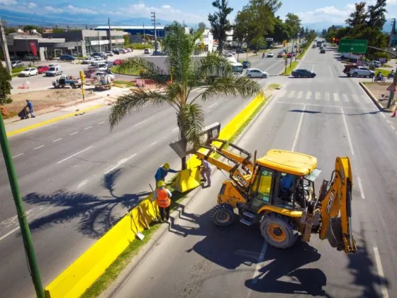 Finalizará la instalación de los separadores viales en avenida Paraguay