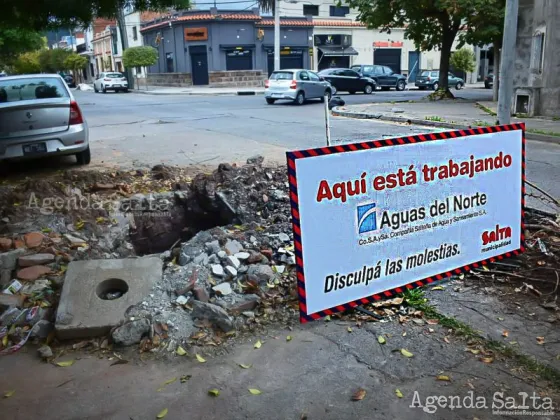 Desde enero a la fecha, se detectaron 746 pérdidas de agua y 269 aperturas en calles y veredas