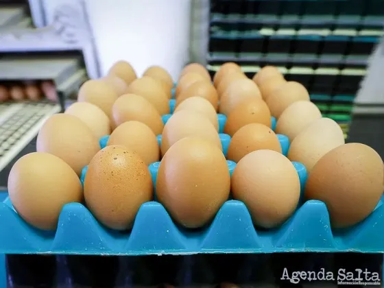 Que cuidados hay que tener en la cocina con pollos y huevos