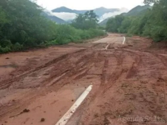 Acusan escasez de maquinaria en Vialidad de Cafayate