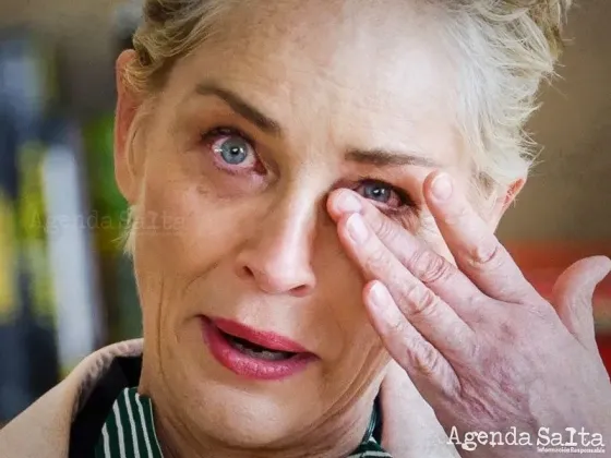 Crisis bancaria: Sharon Stone perdió la mitad de sus ahorros