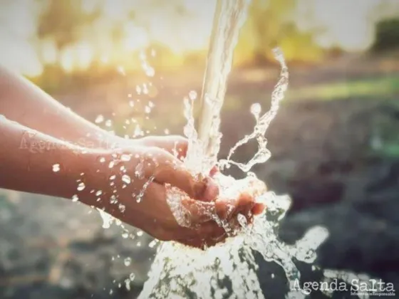 Día Mundial del Agua: por qué se conmemora y cuáles son las recomendaciones para cuidarla