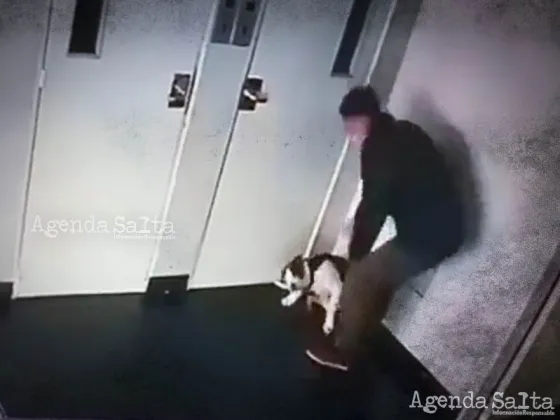 Un perro fue brutalmente golpeado en un hall de un edificio