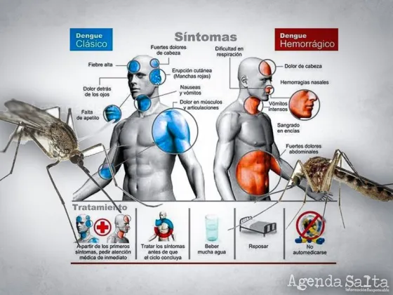 Dengue: por qué tres de cada cuatro personas no tienen síntomas y cuál es el riesgo asociado