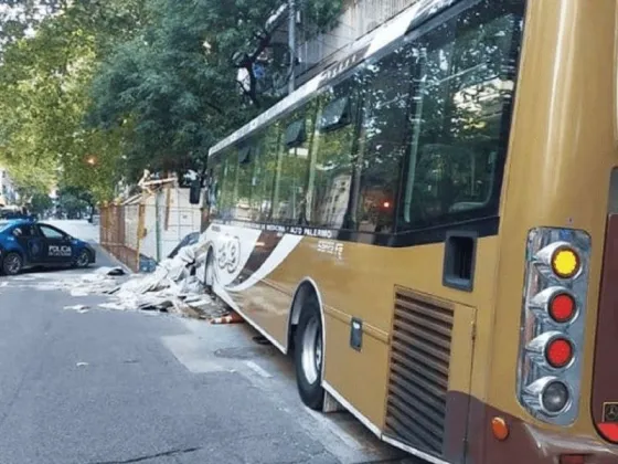 Chofer drogado, estrelló colectivo contra un montículo de baldosas