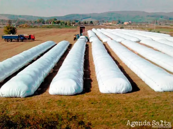 Comienza a regir el dólar agro y el Gobierno espera reforzar las reservas