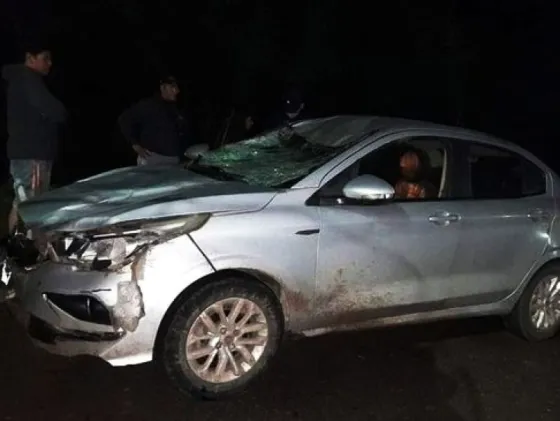 TERRIBLE: salteño falleció al chocar un taxi con un caballo en Colonia Santa Rosa