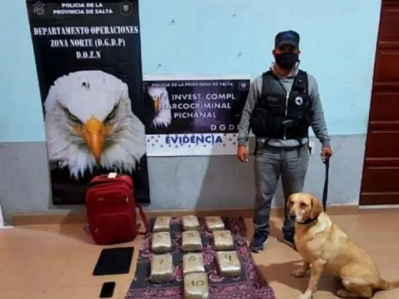 La Policía de Salta secuestró más de 10 kilos de marihuana en un control vial