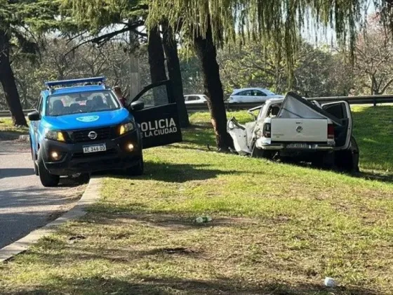 Un hombre perdió el control de su camioneta, chocó contra un árbol y murió