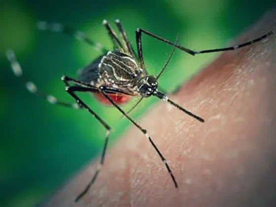 La cifra de muertes por dengue llegó a 45 y se registró el primer deceso en la provincia de Corrientes