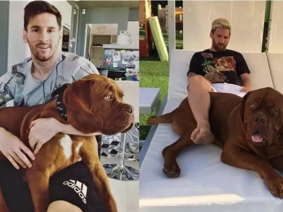 Cuál es el problema de salud que tiene Hulk, el famoso perro de Lionel Messi