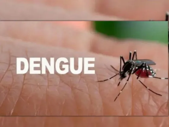 Ya son más de 50 mil los casos de Dengue en todo el país