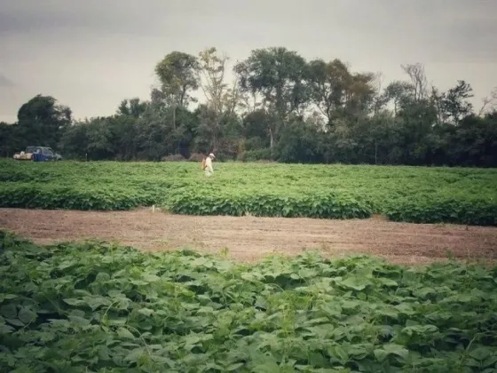 Preocupa la inseguridad en los campos de Salta