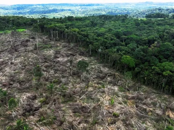 Con Lula da Silva arde aún más la amazonia: creció la deforestación