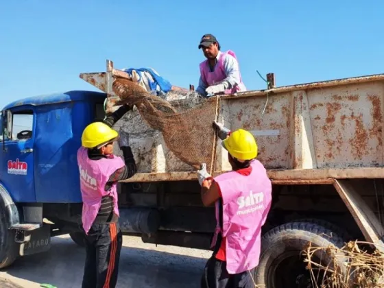 Lucha contra el Dengue: esta semana se trabajará en zona sudeste