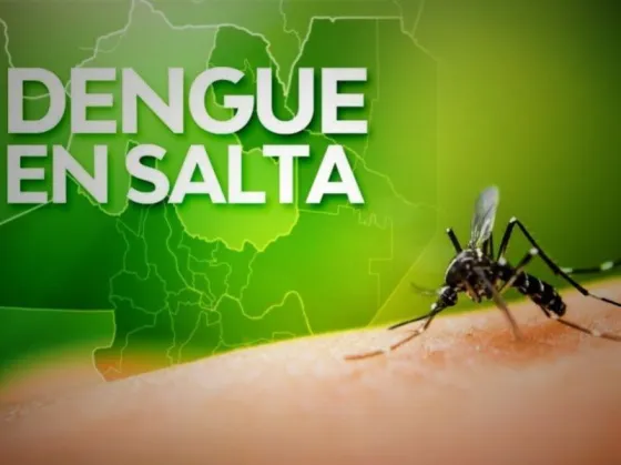 DENGUE: Se confirmaron 7997 casos en la provincia