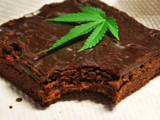 Llevó brownies con marihuana a la escuela, les convidó a sus compañeros y se intoxicaron todos