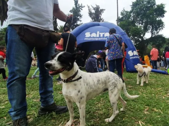 Día del Animal: organizan actividades municipales alusivas a la fecha