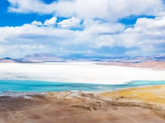 El futuro del Litio: de quién es el "oro blanco" argentino y por qué Chile puso en alerta al sector