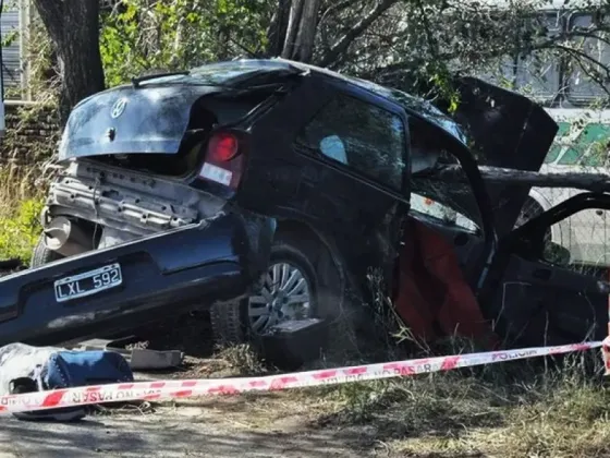 Dos ladrones se estrellaron contra un árbol en un auto que acababan de robar: uno murió y el otro está grave