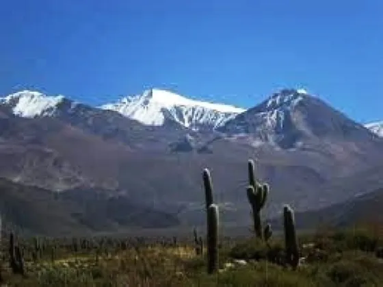 Un salteño cayó de lo más alto del Nevado de Cachi y murió