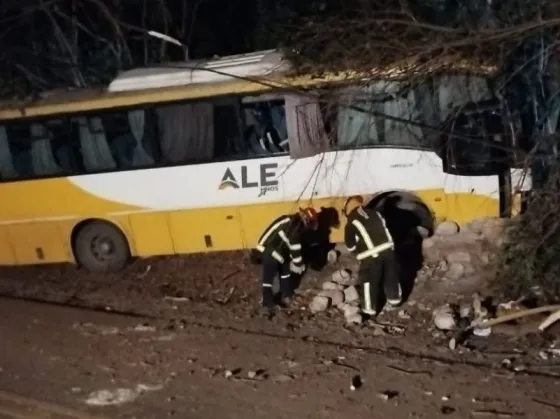 “La mujer que falleció viajaba parada en la parte delantera del colectivo”, dijo una testigo