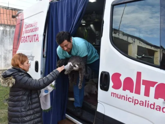 En lo que va del año se castraron 6895 animales y más de 13800 fueron vacunados