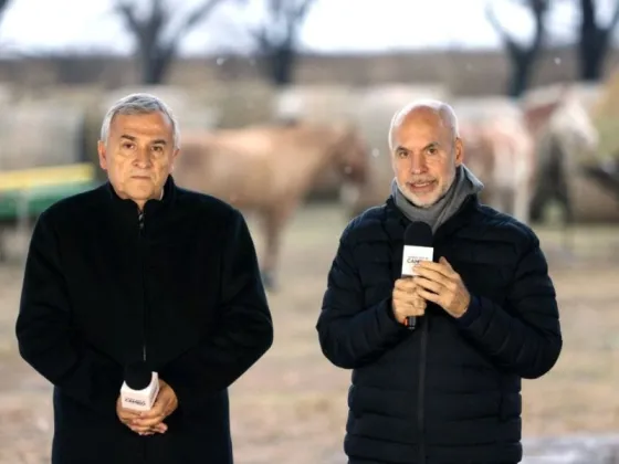 Horacio Rodríguez Larreta presentó sus propuestas para el campo y criticó al kirchnerismo