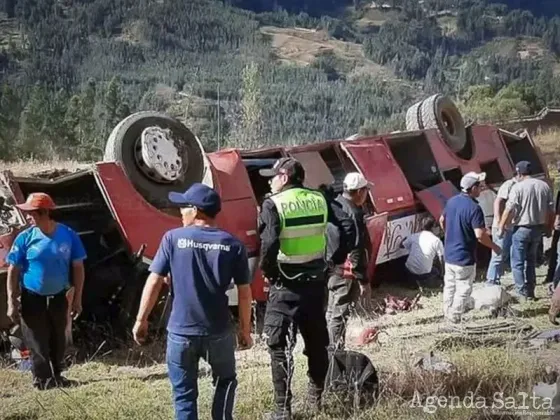 Trágico accidente en la zona andina: desbarrancó un bus y murieron 12 personas