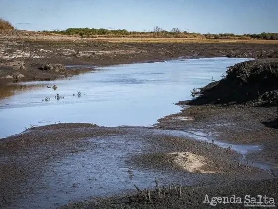 Vuelve a agravarse la crisis hídrica en el Uruguay