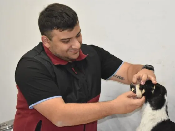 Hoy se celebra el “Día del Veterinario” en la Argentina