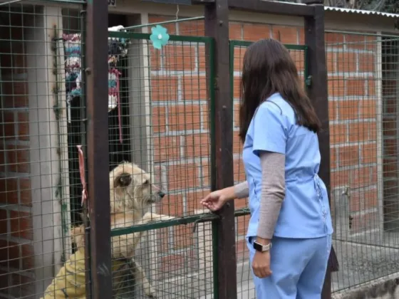 Centro de Adopciones: mañana habrá una procesión con la imagen de San Roque