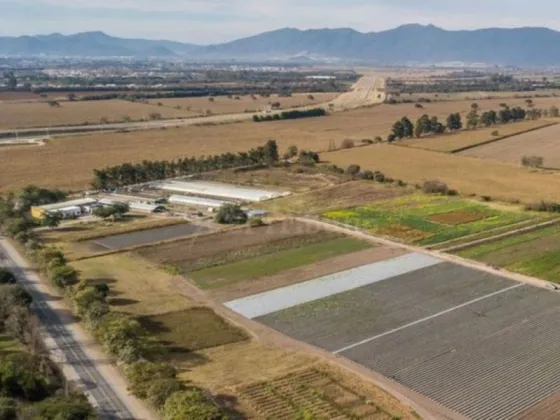 Polémica por un proyecto de expropiación de tierras del INTA