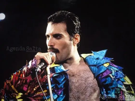 Subastan unas zapatillas que usó Freddie Mercury