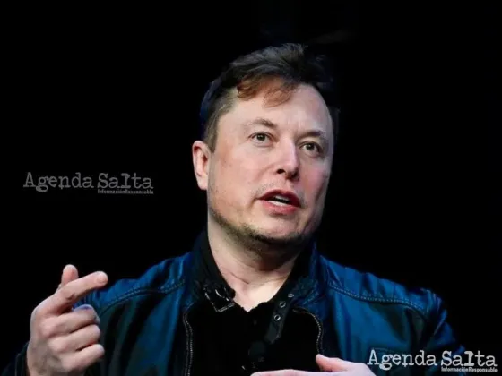 Denuncian la muerte de 12 monos por el chip cerebral de Neuralink, la empresa de Elon Musk