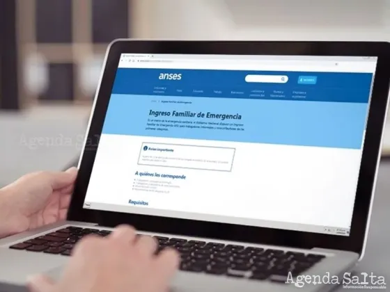 Ya cobré el IFE de Anses: ¿tengo que volver a anotarme?