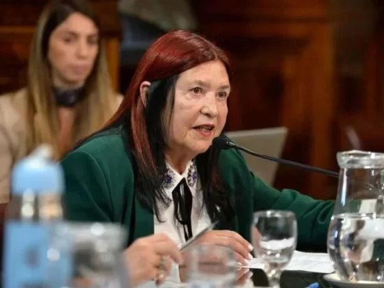 Ana María Figueroa solicitó volver a asumir como jueza de la Cámara de Casación