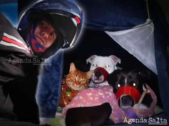 Historia de amor: Viaja desde Río Gallegos, en moto junto a sus tres mascotas, para no abandonarlos